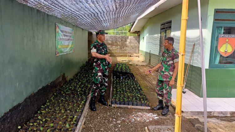 Danramil 17 Wanayasa Dampingi Kasdim Meninjau Pembibitan Tanaman Kopi