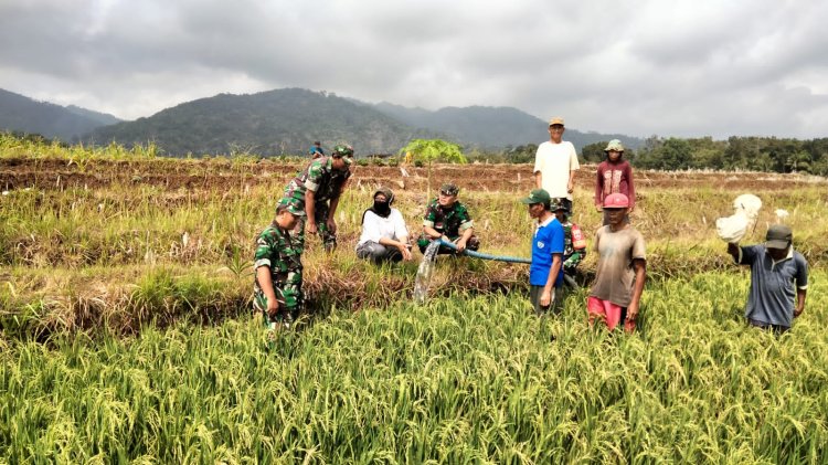 Danramil Susukan dan Warga Binaan Laksanakan Pompanisasi di Sawah Tadah Hujan