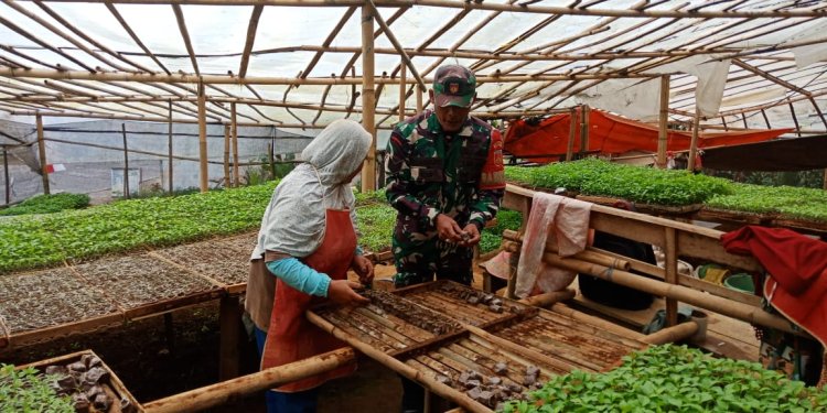 Pembinaan Babinsa Serka Heru Karmanto Silaturahmi Ke Penjual Bibit Tanaman