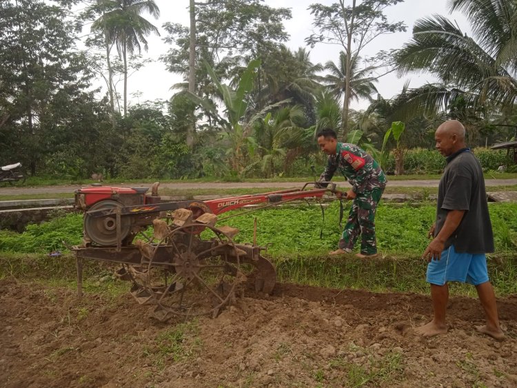 Babinsa Turun ke Sawah Bantu Petani Pengolahan Lahan