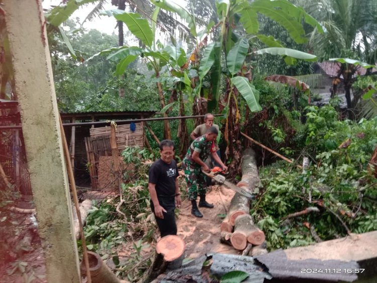 Babinsa Koramil 09 Susukan Bantu Warga Evakuasi Pohon Tumbang yang Menimpa Rumah