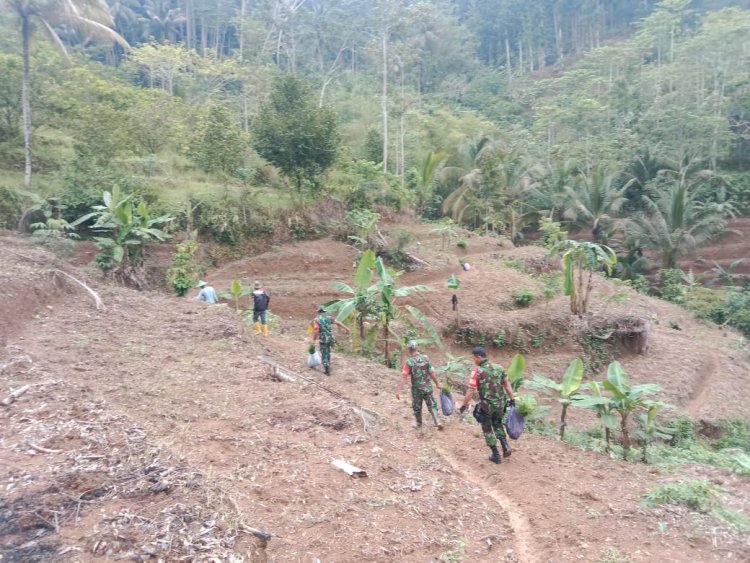 Danramil Banjarnegara Tanam 2.300 Pohon di Lebakwangi