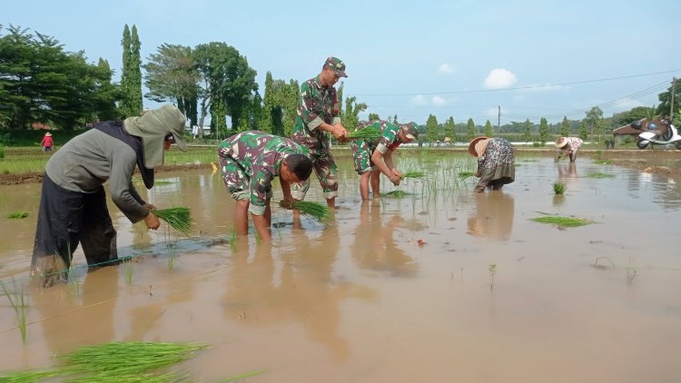 Babinsa Koramil 10 Bawang Bersama Petani Wujudkan Swasembada Pangan