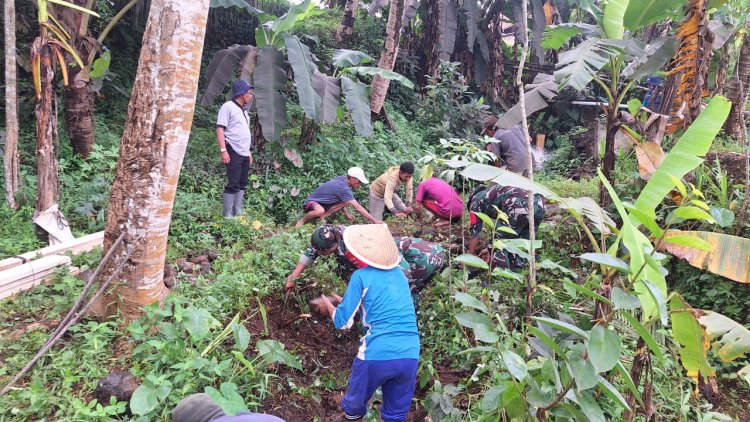 Penuhi Kebutuhan Air Di Persawahan Batituud Bersama Babinsa  Dan Warga Kerja Bakti Bersihkan Saluran Irigasi