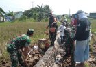 TNI dan Warga Kompak Perbaiki Saluran Irigasi Demi Ketahanan Pangan