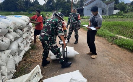Koramil 03 Wanadadi dan Bulog Serap 14 Ton Gabah Petani di Dua Desa