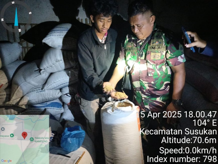 Babinsa Selalu Siap Melaksanakan Pendampingan Penyerapan Gabah Di Desa Binaan