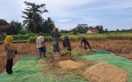 Babinsa Wanadadi Dampingi Petani dalam Kegiatan Sergap Dorong Stabilitas Harga Gabah