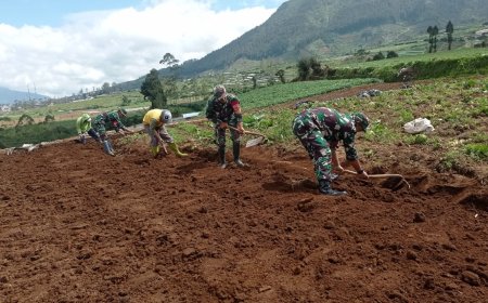 Koramil 05 Batur Dampingi Petani Olah Lahan untuk Dukung Ketahanan Pangan Nasional