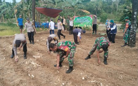 Sinergi TNI-Polri Dinas Pertanian dan Petani Tanam Jagung Bersama Demi Ketahanan Pangan