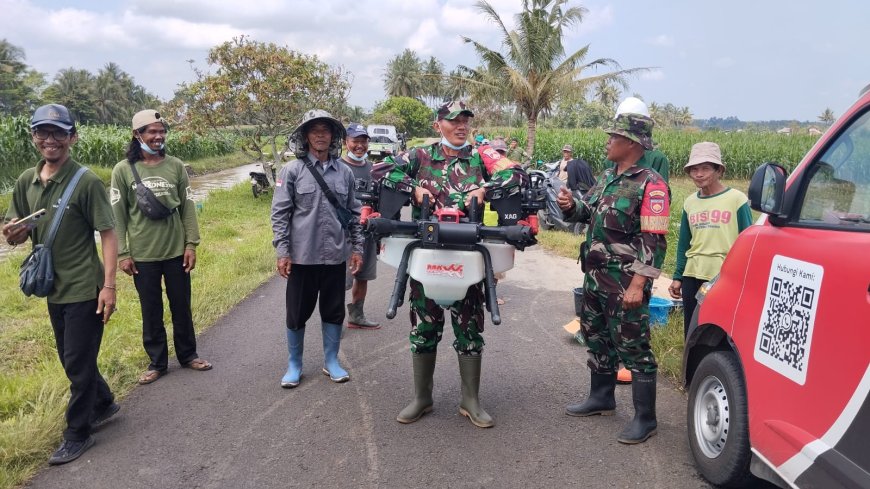 Babinsa Serma Sagi Dampingi Petani Basmi Hama Jagung dengan Drone