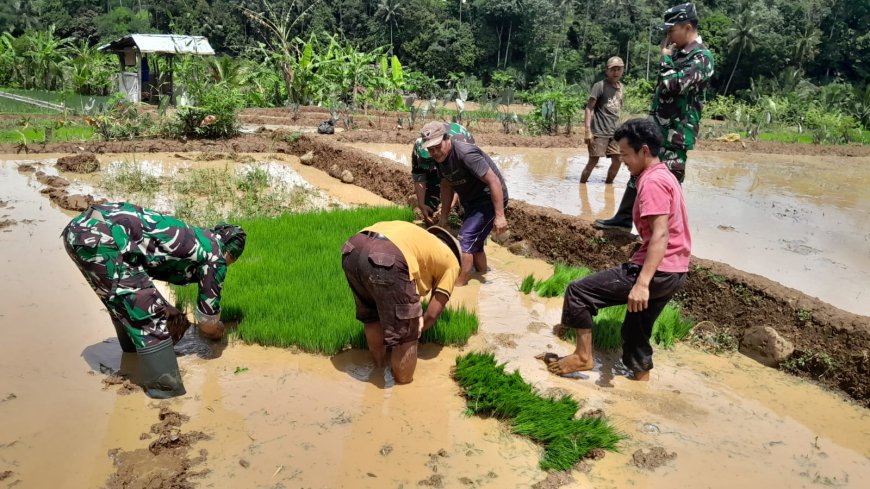 Dukung Ketahanan Pangan Danramil Bersama Babinsa Bantu Warga Ndaut