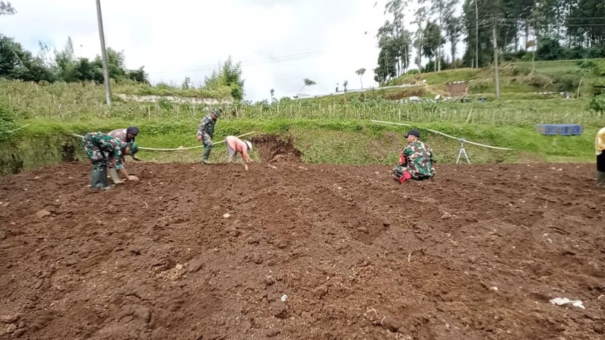 Olah Lahan Yang Baik Kunci Sukses Panen Melimpah Dan Maksimal Koramil Bantu Petani