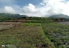 Mengawal Asa dari Pondasi Peran Babinsa di Balik Pembangunan KDKMP Pekasiran
