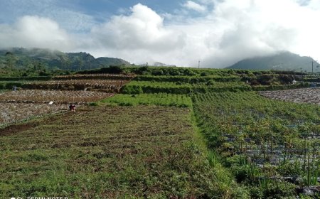 Mengawal Asa dari Pondasi Peran Babinsa di Balik Pembangunan KDKMP Pekasiran