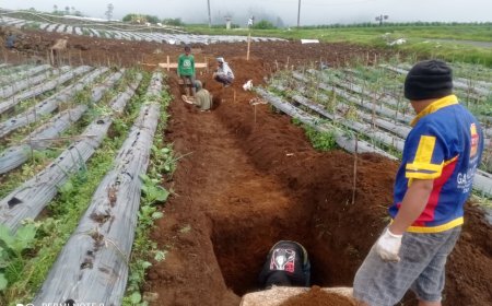 Babinsa Batur Awasi Penggalian Pondasi KDKMP di Pekasiran