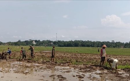 Babinsa Koramil 09 Susukan membantu petani dalam mengolah lahan