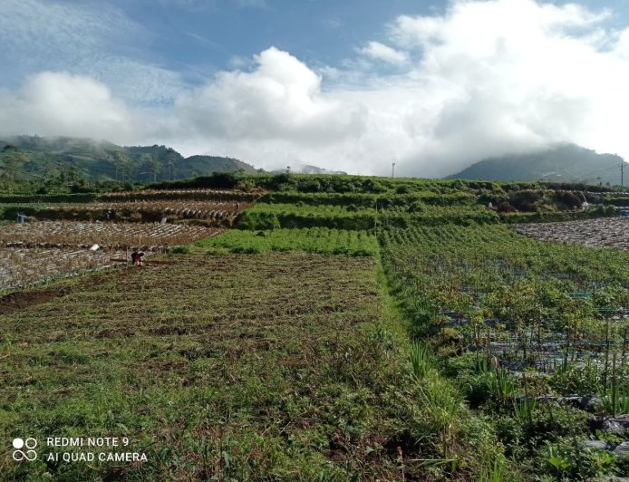 Mengawal Asa dari Pondasi Peran Babinsa di Balik Pembangunan KDKMP Pekasiran