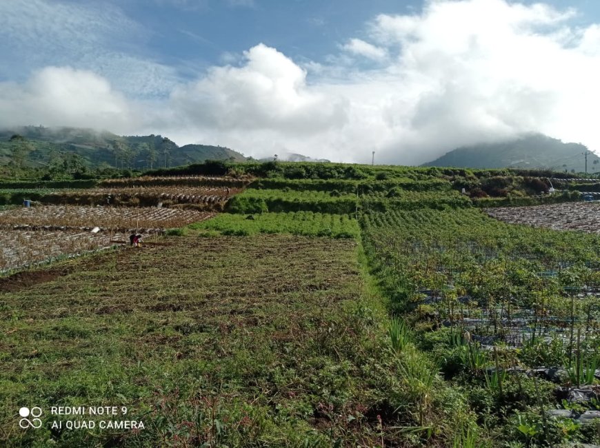 Mengawal Asa dari Pondasi Peran Babinsa di Balik Pembangunan KDKMP Pekasiran
