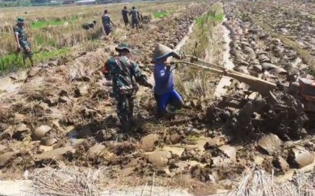 Babinsa Bergelut Dengan Traktor Olah Lahan Bersama Petani