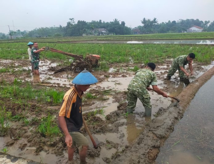 Semangat Babinsa Kebersamaan Membantu Pentani Saat olah lahan diwilayah