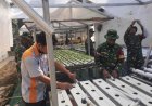 Koramil 03 Wanadadi Kembangkan Hidroponik untuk Mendukung Ketahanan Pangan