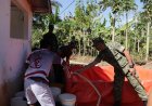 Kodim 0704 Banjarnegara Salurkan Air Bersih untuk Warga Terdampak Kekeringan di Desa Serang