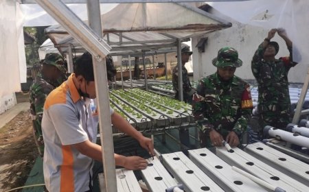 Koramil 03 Wanadadi Kembangkan Hidroponik untuk Mendukung Ketahanan Pangan