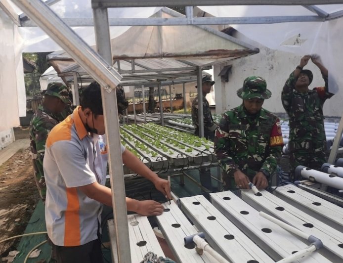Koramil 03 Wanadadi Kembangkan Hidroponik untuk Mendukung Ketahanan Pangan
