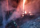 Kebakaran Lahan Pinus Perhutani di Desa Panerusan Wetan Luas Sekitar 1 Hektare