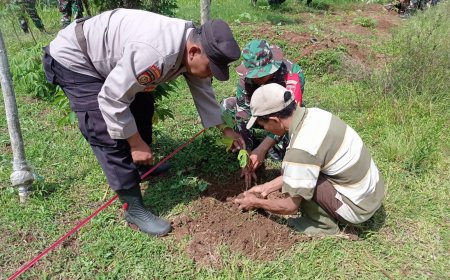 Tanam Pohon di Tengah TMMD Serma Susilo Tinggalkan Warisan Hijau untuk Desa