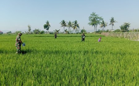 Gelang Rawat Kebersamaan di Tengah Sawah