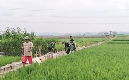 Hadapi Musim Kemarau Koramil 15 Rakit dan Poktan Ngudi Mulyo Perbaiki Irigasi Sawah