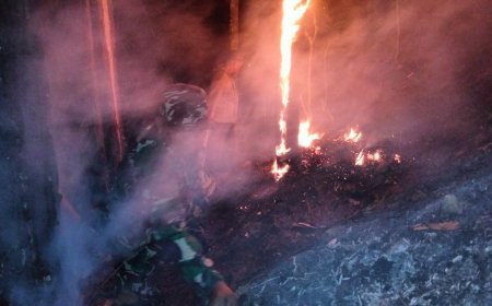 Kebakaran Lahan Pinus Perhutani di Desa Panerusan Wetan Luas Sekitar 1 Hektare