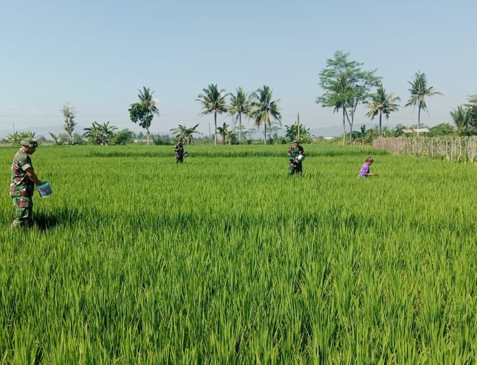 Gelang Rawat Kebersamaan di Tengah Sawah