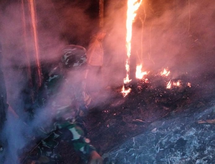 Kebakaran Lahan Pinus Perhutani di Desa Panerusan Wetan Luas Sekitar 1 Hektare