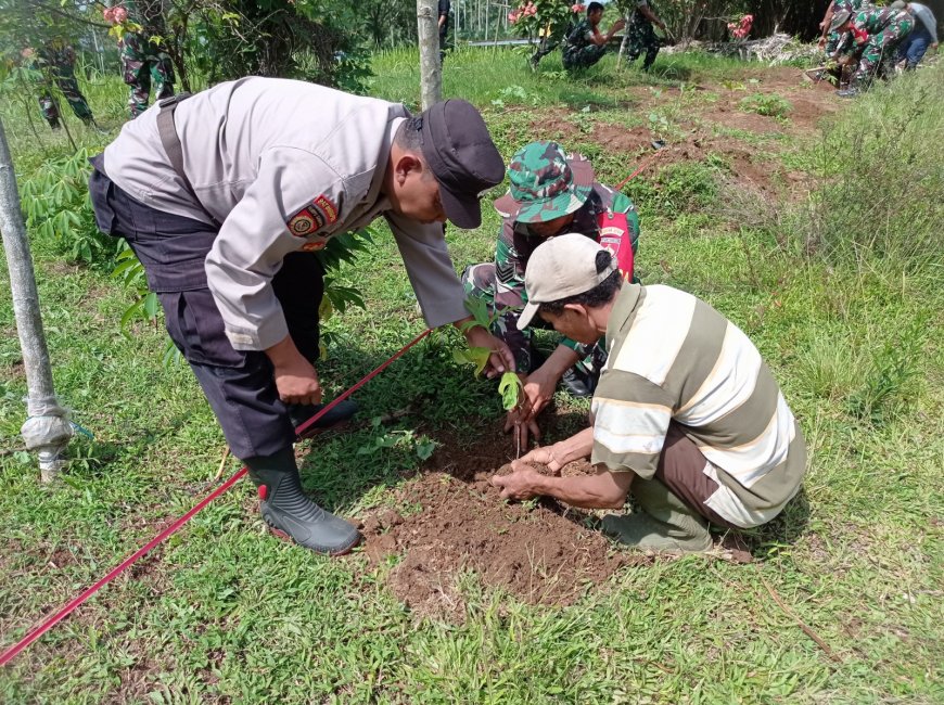 Tanam Pohon di Tengah TMMD Serma Susilo Tinggalkan Warisan Hijau untuk Desa