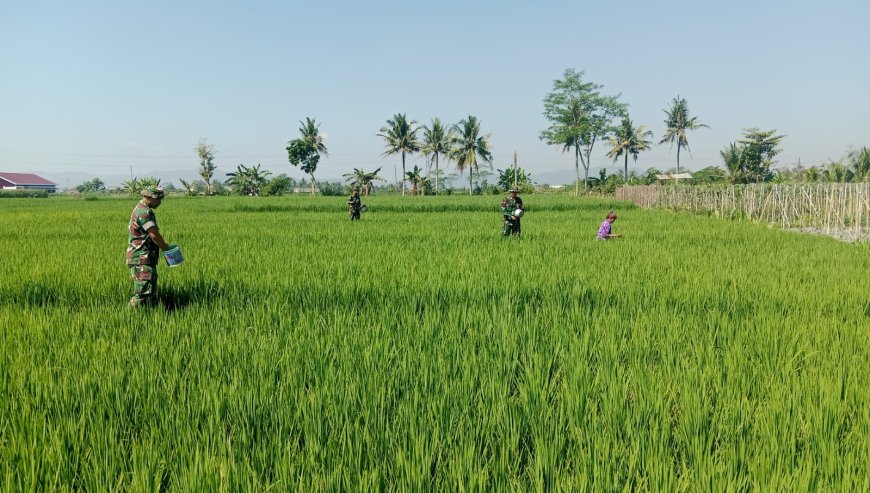 Gelang Rawat Kebersamaan di Tengah Sawah