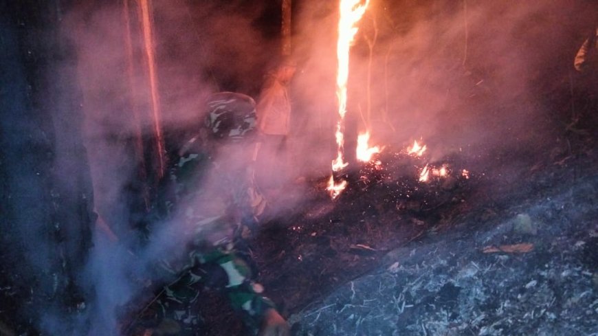 Kebakaran Lahan Pinus Perhutani di Desa Panerusan Wetan Luas Sekitar 1 Hektare
