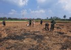 Koramil 03 Wanadadi Dampingi Poktan Maju Makmur Tanam Jagung