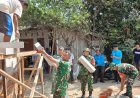 Babinsa Koramil 01 Banjarnegara Bantu Renovasi Rumah Tidak Layak Huni
