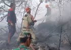 Kebakaran Semak Belukar di Lahan Perhutani Diengkulon TNI-Polri dan Warga Bergerak Padamkan Api