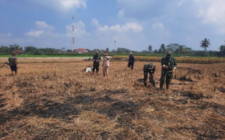 Koramil 03 Wanadadi Dampingi Poktan Maju Makmur Tanam Jagung
