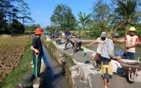 Gotong Royong Perbaiki Jalan Usaha Tani Babinsa Koramil 03 Wanadadi Bersama Poktan Ngudi Rejeki Perkuat Akses Pertanian