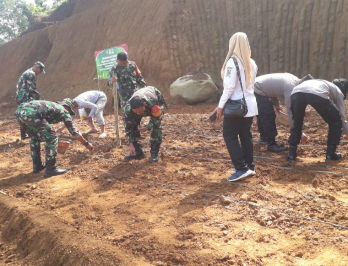 Mengubah Lahan Tidur Menjadi Lumbung Harapan TNI dan Warga Mantrianom Tanam Jagung Bersama