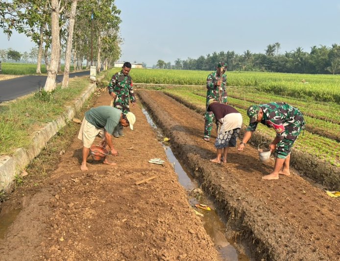 Babinsa dan Poktan Sekar Tani Bersama-sama Tanam Jagung di Musim Kemarau