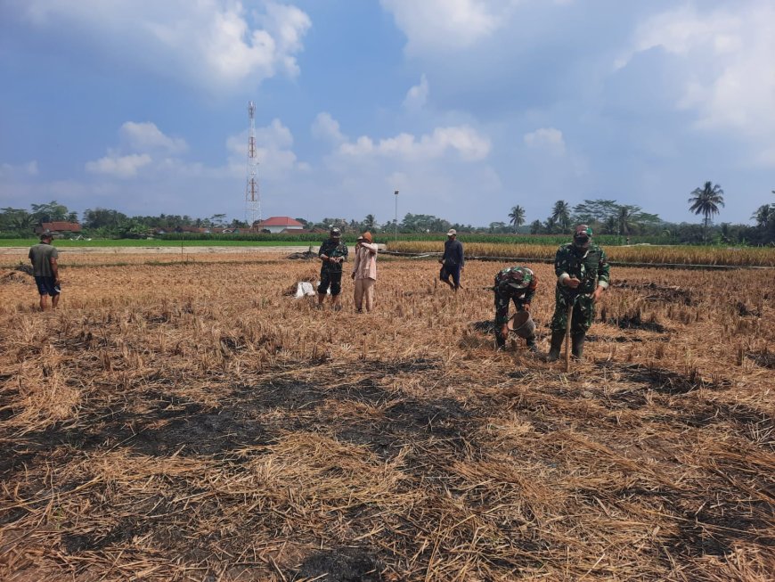 Koramil 03 Wanadadi Dampingi Poktan Maju Makmur Tanam Jagung