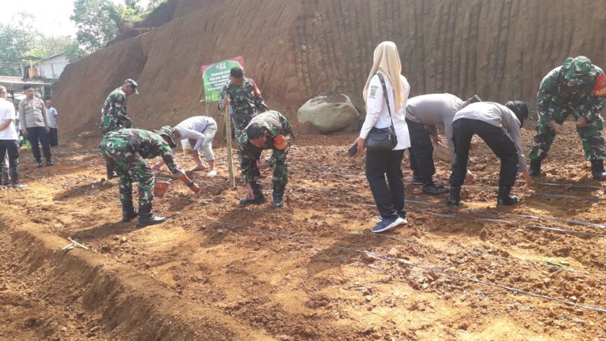 Mengubah Lahan Tidur Menjadi Lumbung Harapan TNI dan Warga Mantrianom Tanam Jagung Bersama