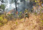 Babinsa Koramil 07/Mandiraja Bersama Tim Gabungan Padamkan Kebakaran Lahan Pinus di Glempang