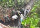 Danramil 17/Wanayasa Turut Serta Melaksanakan Kerja Bhakti Pembersihan Sungai di Desa Binaan